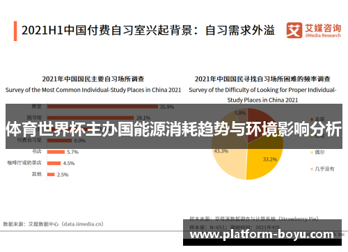 体育世界杯主办国能源消耗趋势与环境影响分析