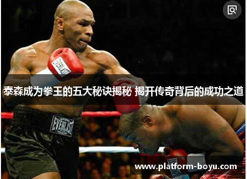 泰森成为拳王的五大秘诀揭秘 揭开传奇背后的成功之道